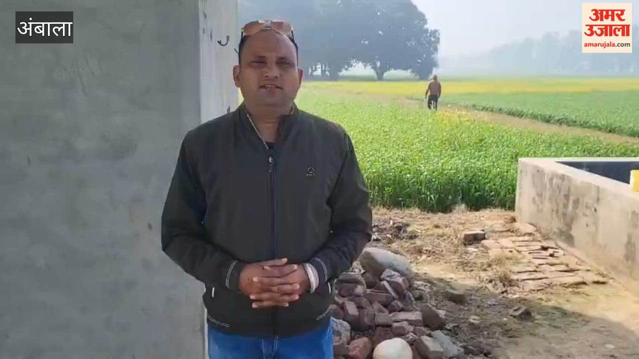 In Ambala, a milch cow was found with its legs and mouth tied inside its enclosure; it died after suffering a painful death.