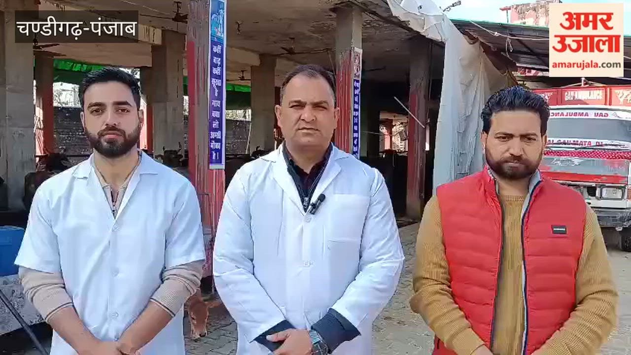 Vaccination of animals against Lumpy Skin Disease started in Pathankot