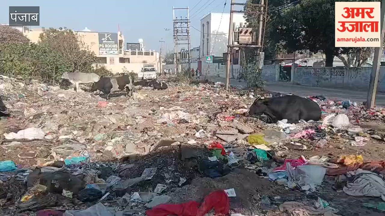 Piles of garbage on Palahi Road in Phagwara.