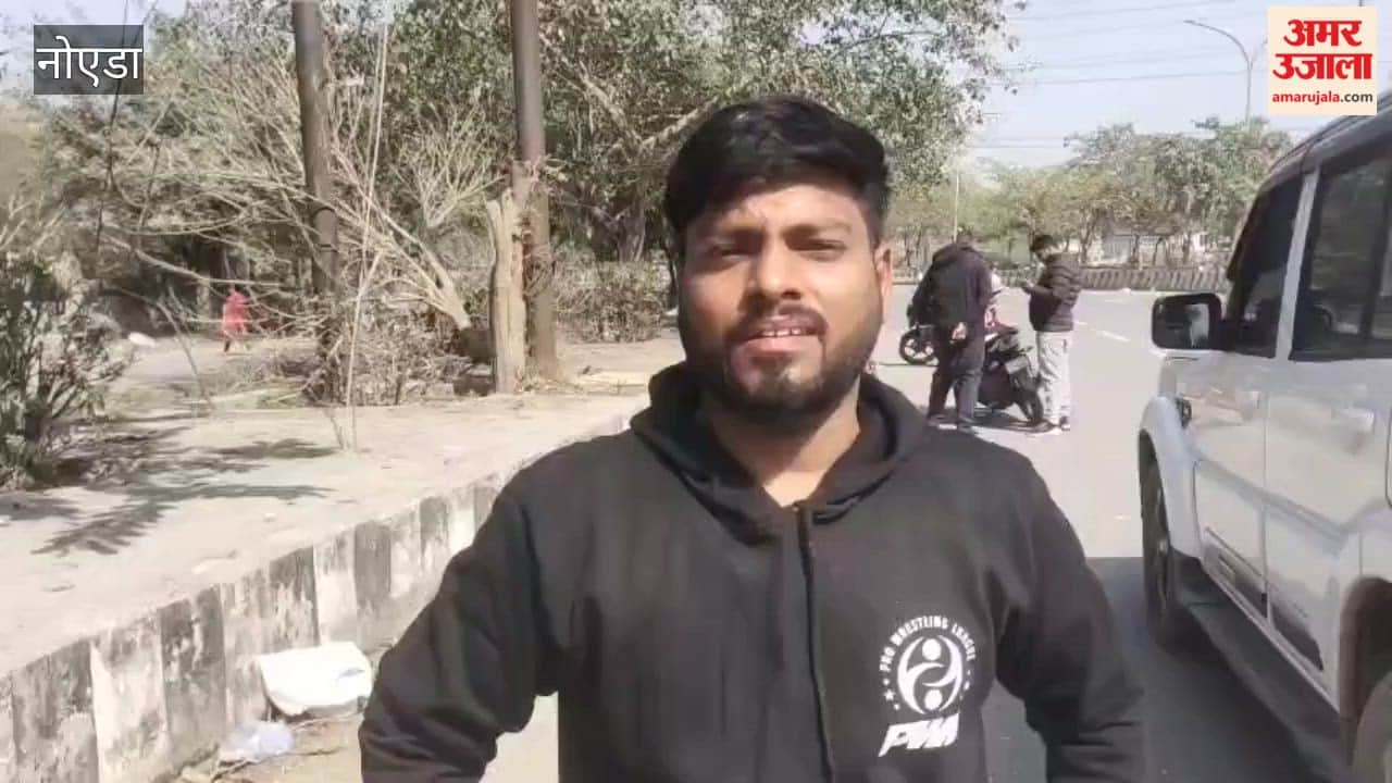 Animal Husbandry Department officials reached spot of death of pigeons on tree in Noida