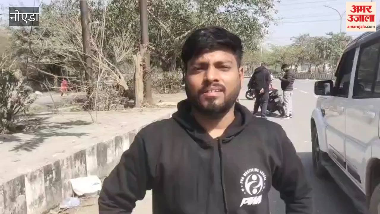 Animal Husbandry Department officials reached spot of death of pigeons on tree in Noida