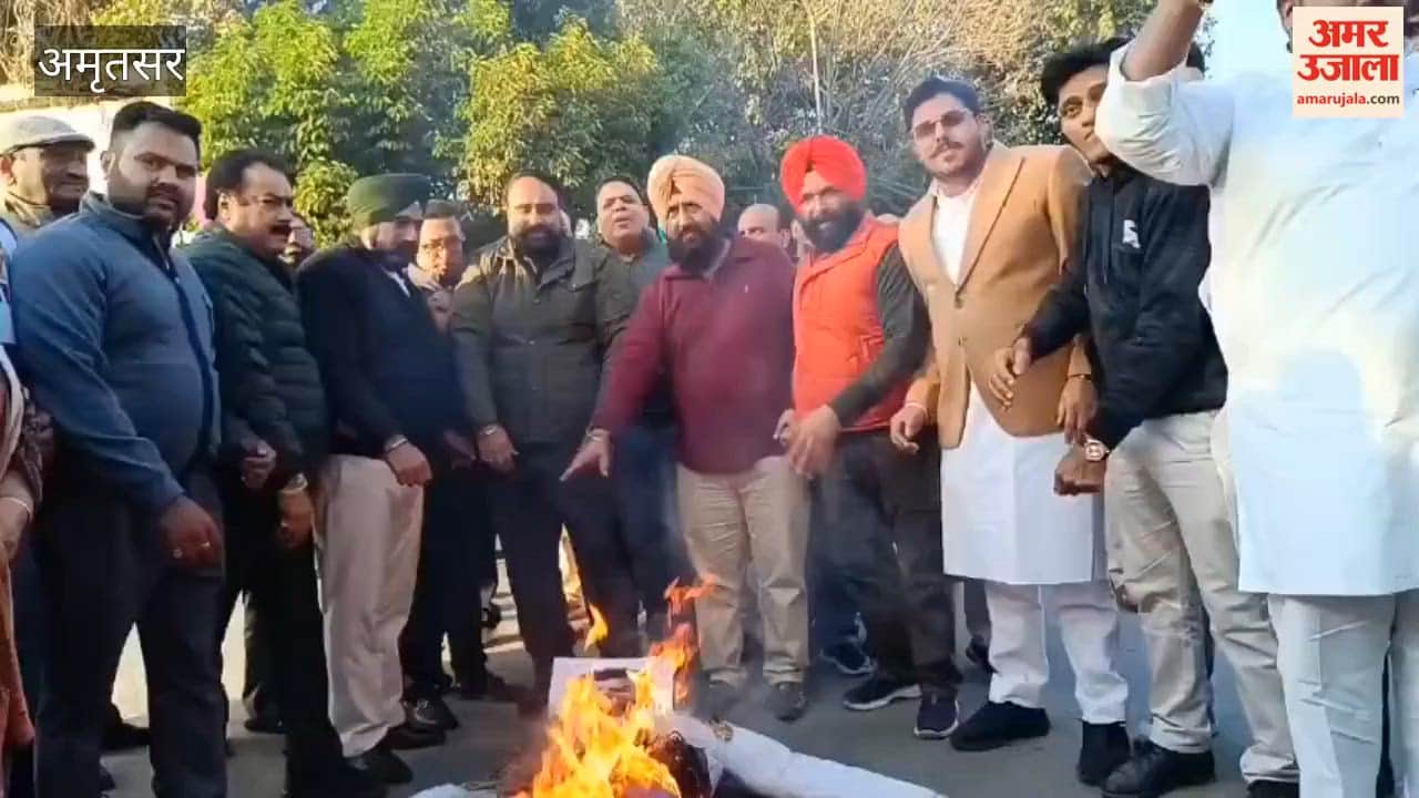 BJP stages protest against Rahul Gandhi in Amritsar, burns effigy.