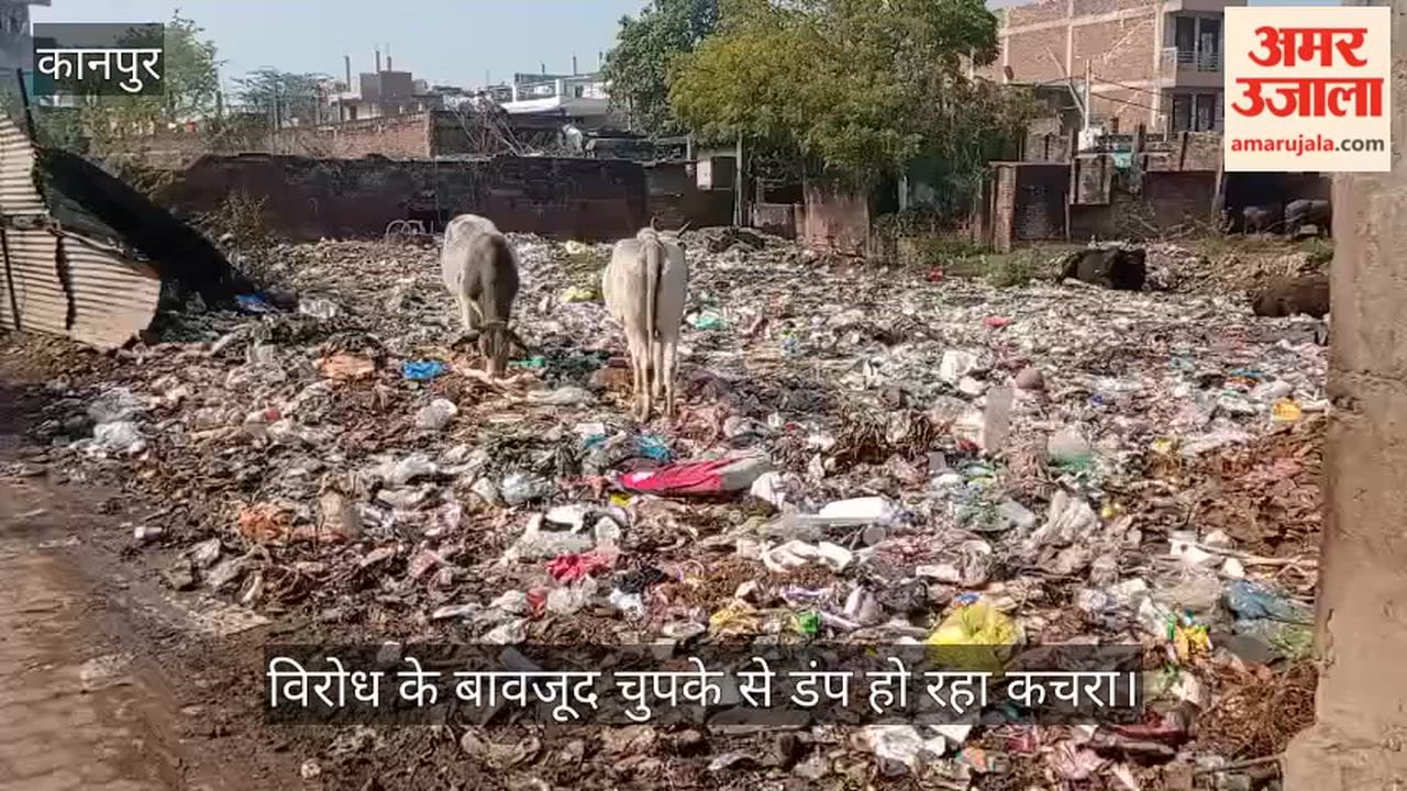 कानपुर: बिरतियान में सफाईकर्मी ने ही तालाब को कूड़े से पाटा; बदबू के साये में जीने को मजबूर बस्ती के लोग