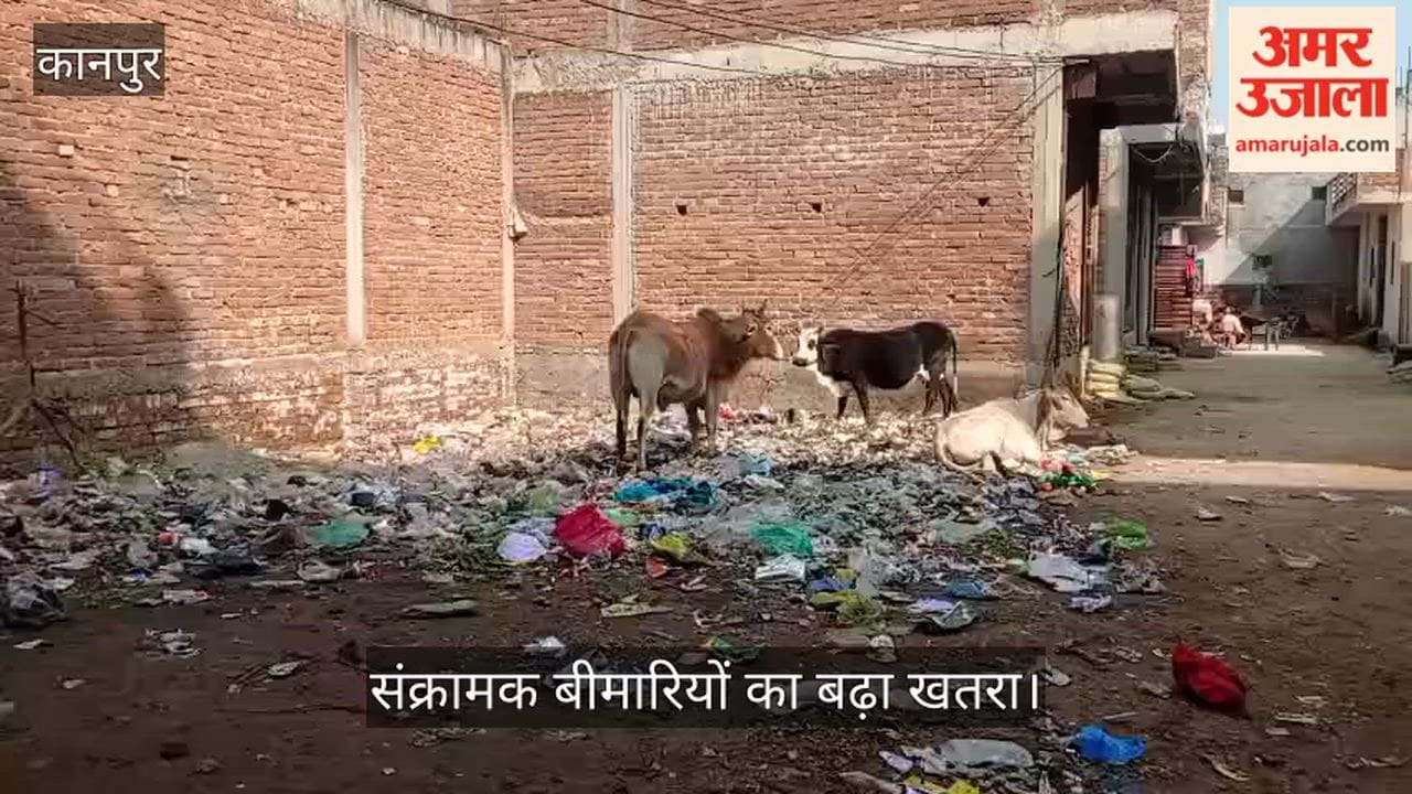 कानपुर: बहलोलपुर नई बस्ती में गंदगी का अंबार, कूड़े के ढेरों से उठती सड़ांध ने जीना किया मुहाल