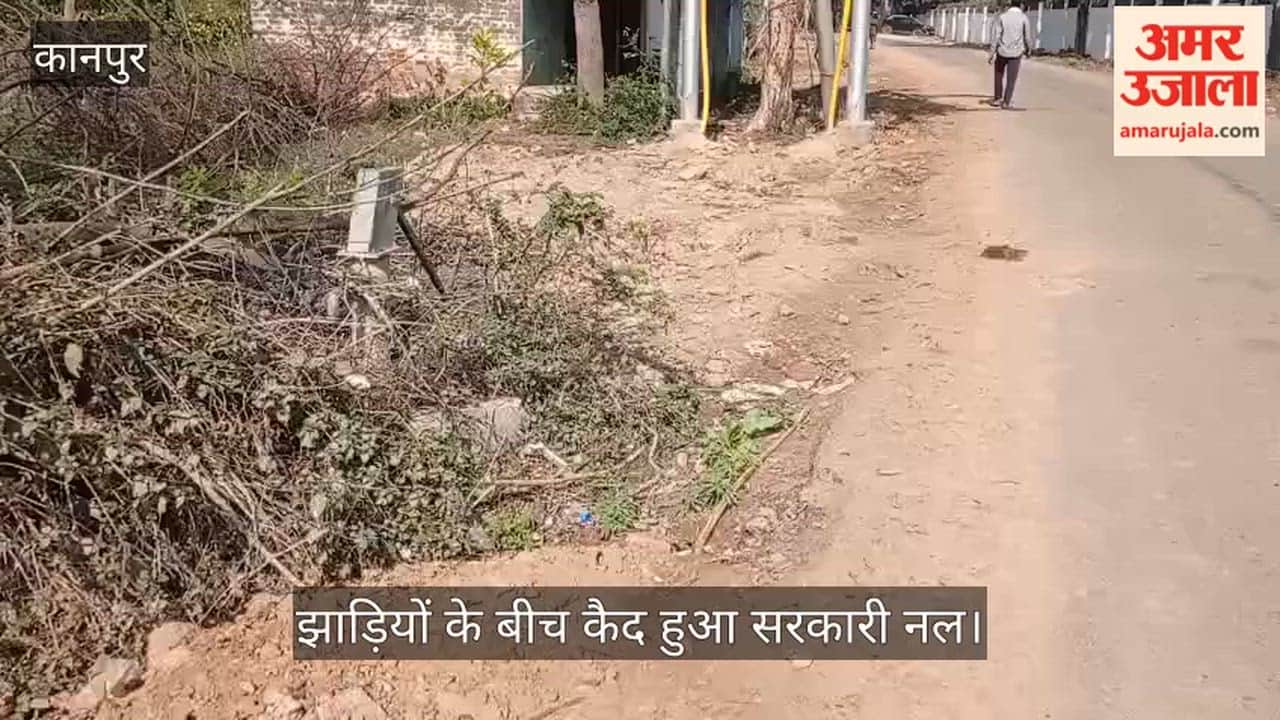 कानपुर: सफेद हाथी बना प्यास बुझाने वाला हैंडपंप: सालों से खराब, अब झाड़ियों के बीच गुम हुआ अस्तित्व