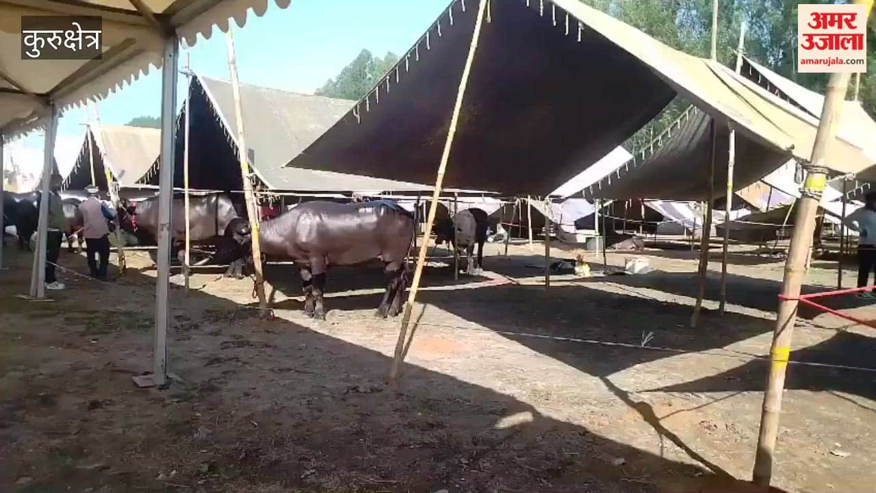 state-level animal fair in Kurukshetra will begin tomorrow, and livestock owners have started arriving with their animals from all corners of the state