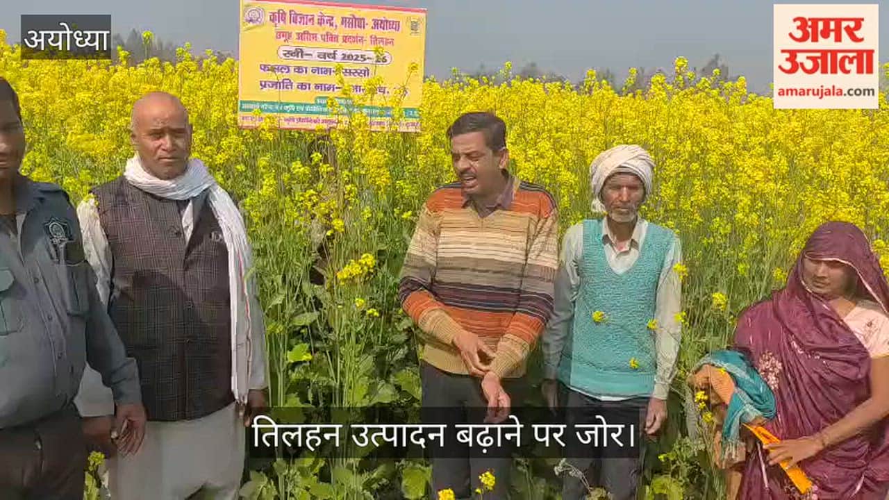अयोध्या में तिलहन उत्पादन बढ़ाने पर जोर, उन्नत किस्मों का प्रदर्शन