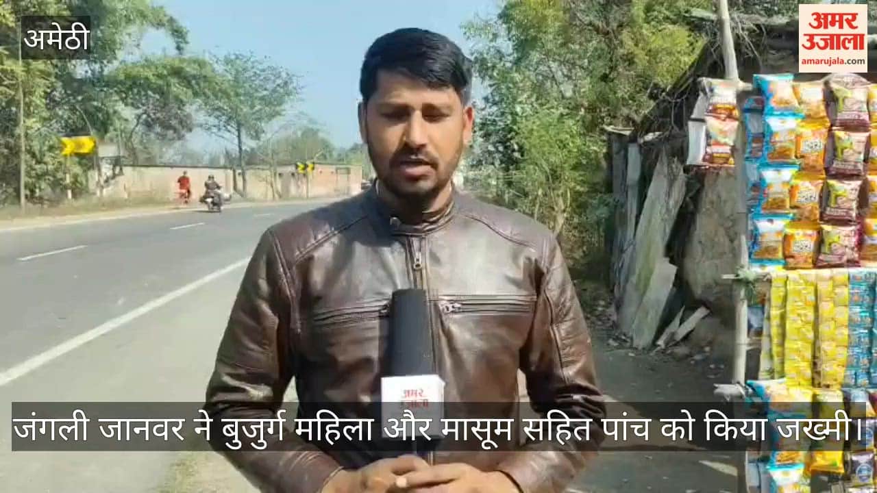 अमेठी में जंगली जानवर ने बुजुर्ग महिला और मासूम सहित पांच को किया जख्मी, क्षेत्र में दहशत