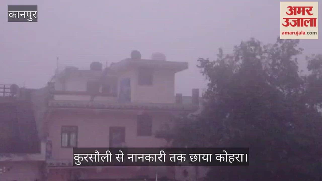 कोहरे ने घेरा कानपुर का ग्रामीण अंचल, आलू की फसल पर संकट, फरवरी में भी नहीं मिल रही राहत