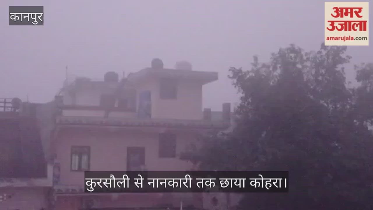 कोहरे ने घेरा कानपुर का ग्रामीण अंचल, आलू की फसल पर संकट, फरवरी में भी नहीं मिल रही राहत