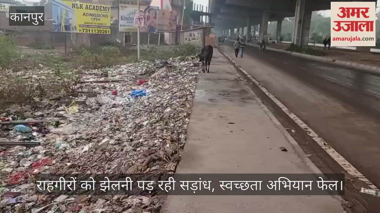 कानपुर में मंधना फ्लाईओवर के नीचे डंपिंग यार्ड, हाईवे किनारे कूड़े के अंबार से राहगीर परेशान