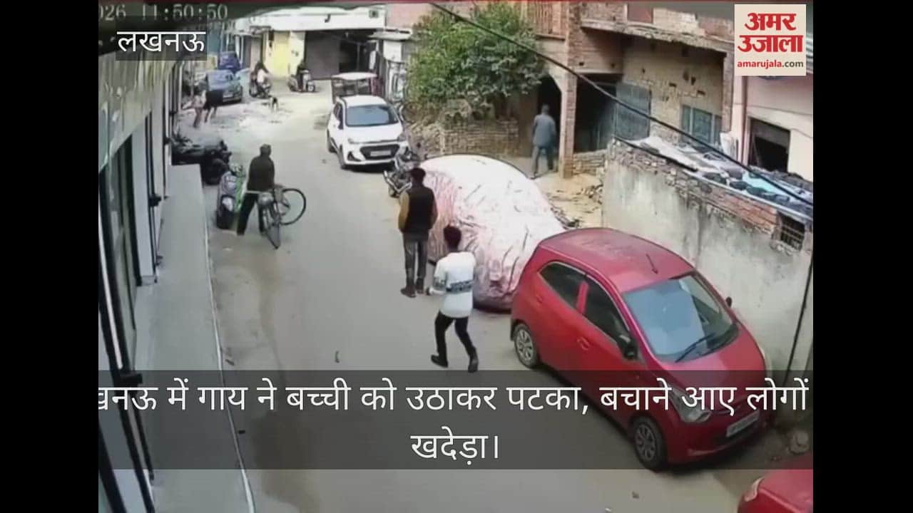 Video: लखनऊ में गाय ने बच्ची को उठाकर पटका, बचाने आए लोगों को खदेड़ा