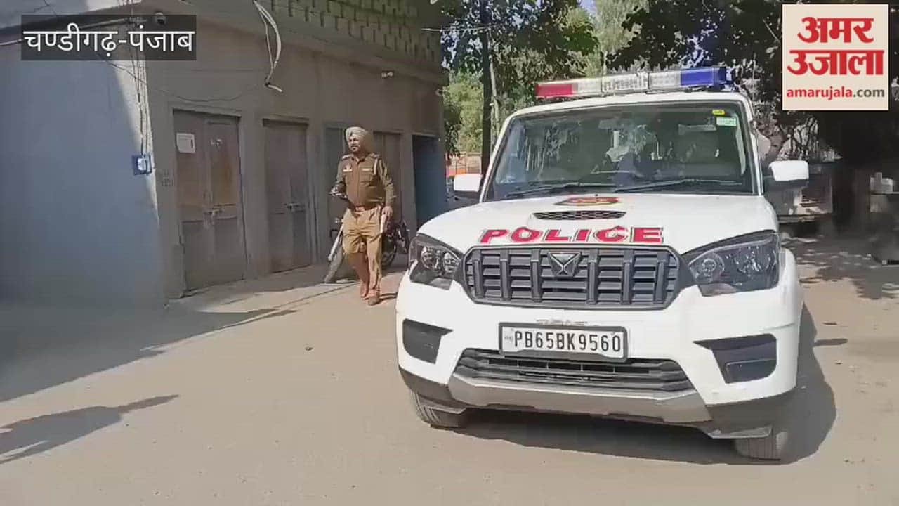 Theft in Moga main market