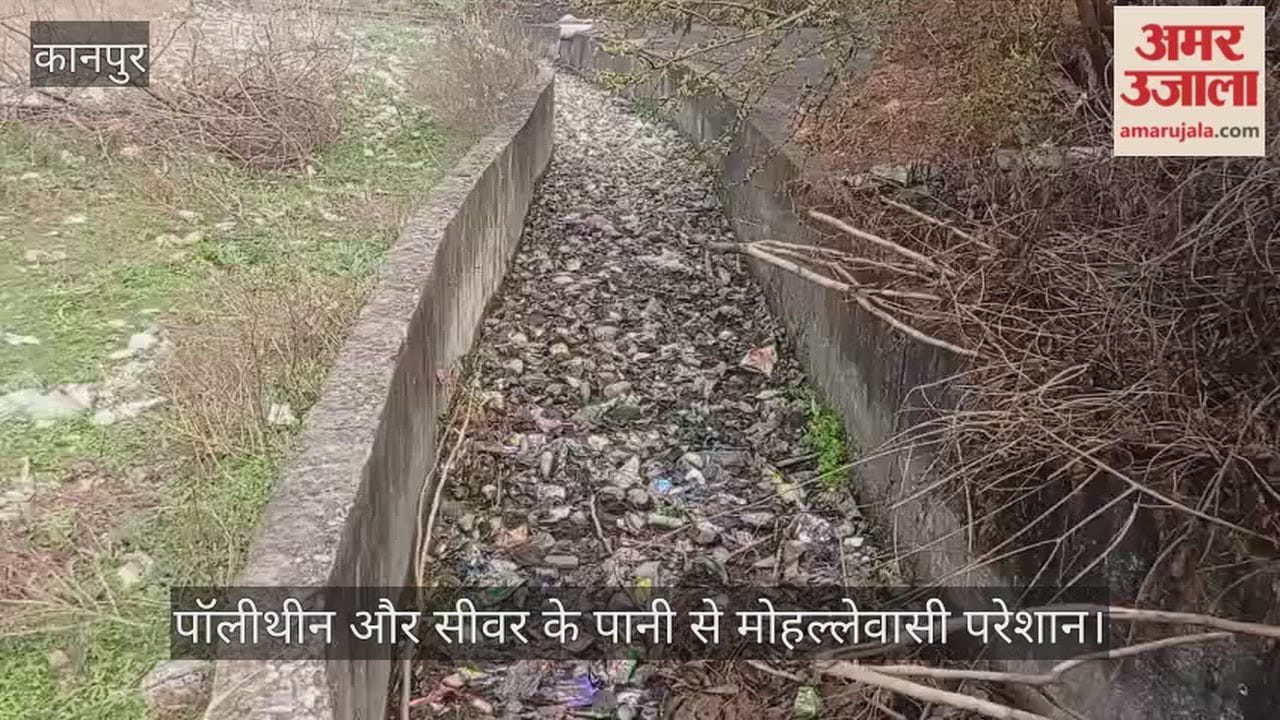 कानपुर: एलिम्को होराबांगर नाला बना मुसीबत, चोक होने से नानकारी नई बस्ती में फैली सड़ांध, महामारी का खतरा