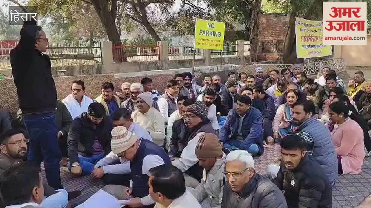 Patwaris (revenue officials) staging a protest in Hisar expressed their anger against the government.