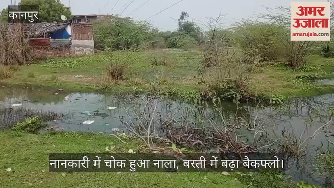 कानपुर: लोधर नई बस्ती में चोक नाले ने बस्ती को बनाया तालाब; भीषण सड़ांध के बीच रहने को मजबूर सैकड़ों परिवार