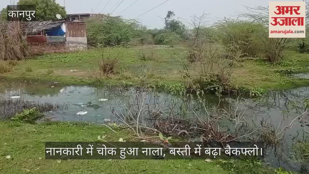 कानपुर: लोधर नई बस्ती में चोक नाले ने बस्ती को बनाया तालाब; भीषण सड़ांध के बीच रहने को मजबूर सैकड़ों परिवार