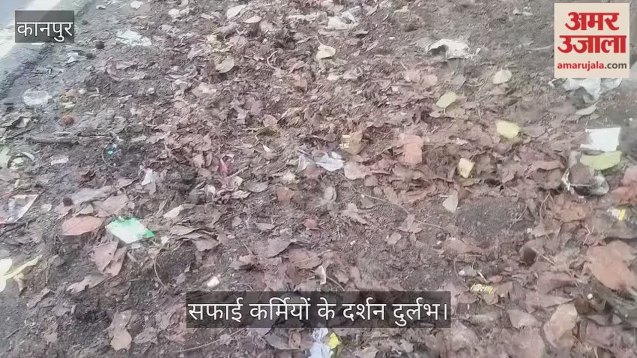 कानपुर: गिरजा नगर की गलियों में पसरी गंदगी, सड़क किनारे कीचड़ और पत्तियों के अंबार से जनता त्रस्त