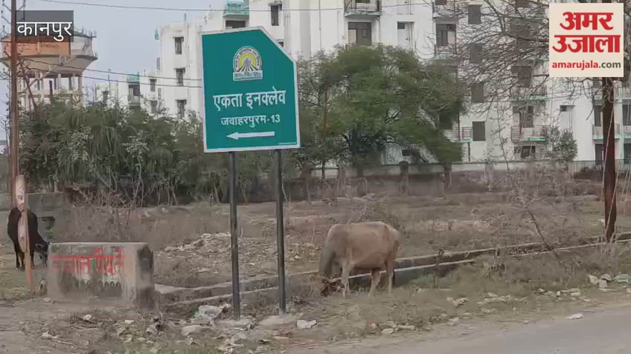 Kanpur: Plants in the green belt have dried up due to lack of maintenance