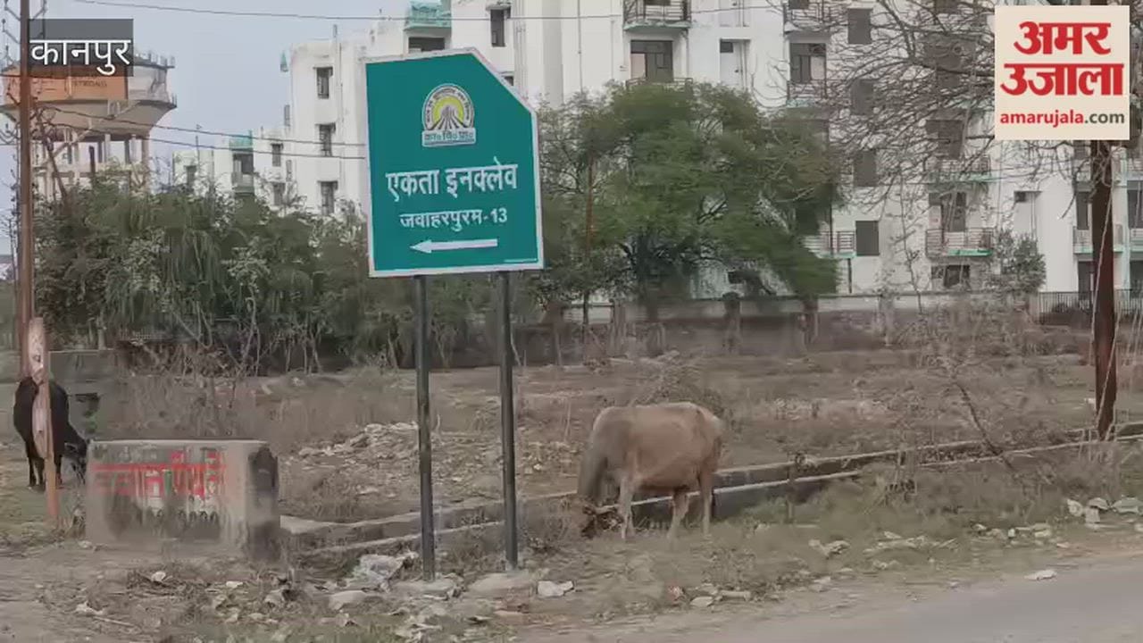 Kanpur: Plants in the green belt have dried up due to lack of maintenance