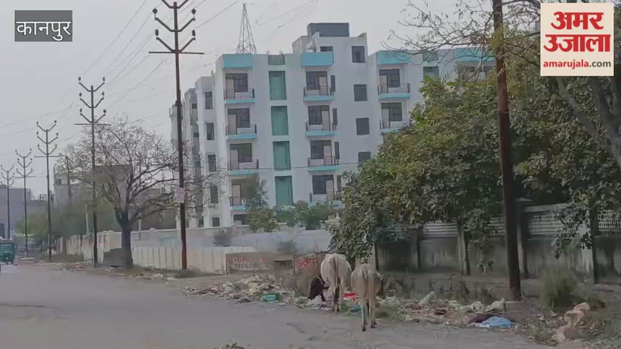 Kanpur: The road leading to Ekta Apartments is in a dilapidated condition