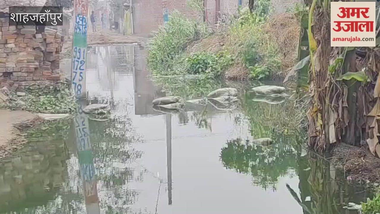 road has been waterlogged for six months in village of shahjahanpur
