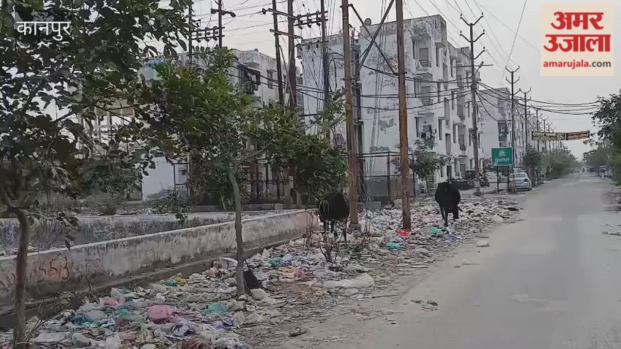 Kanpur: Residents express anger over unsanitary conditions near Himgiri Apartments