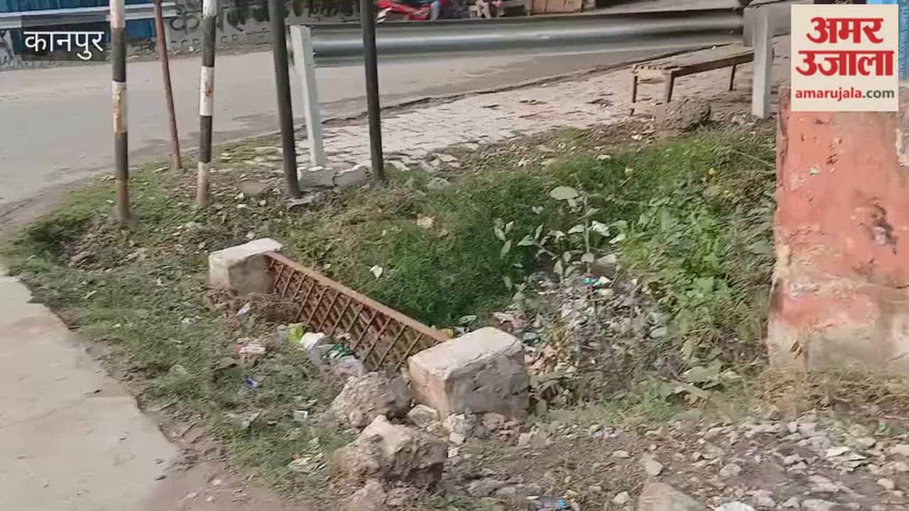 Kanpur: Open drain near temporary cow shelter in Panki poses a risk of accidents