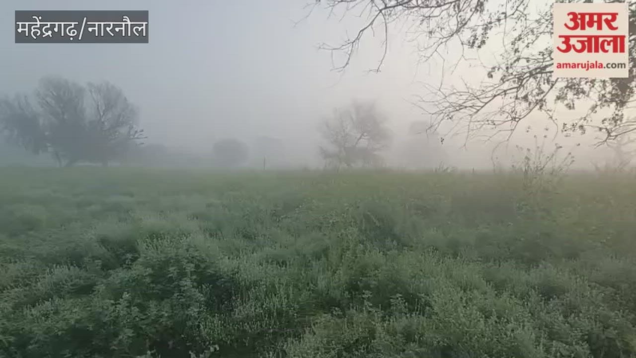 Light fog was observed in Narnaul on the second day, providing some relief.