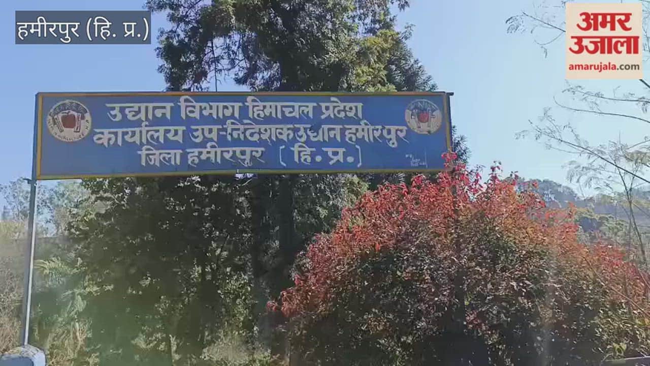 Hamirpur Distribution of fruit-bearing plants in the district exceeded the target