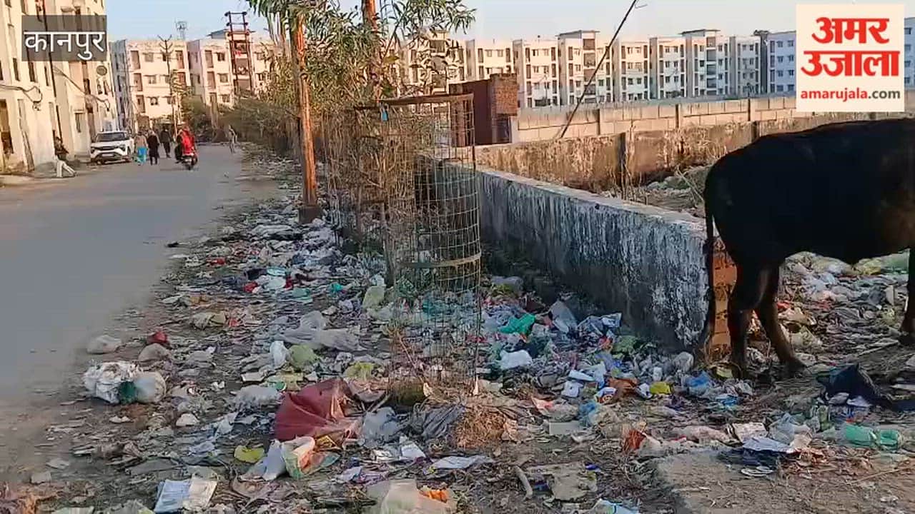 Kanpur: huge pile of garbage has accumulated on the road leading to the PM Awas Yojana flat