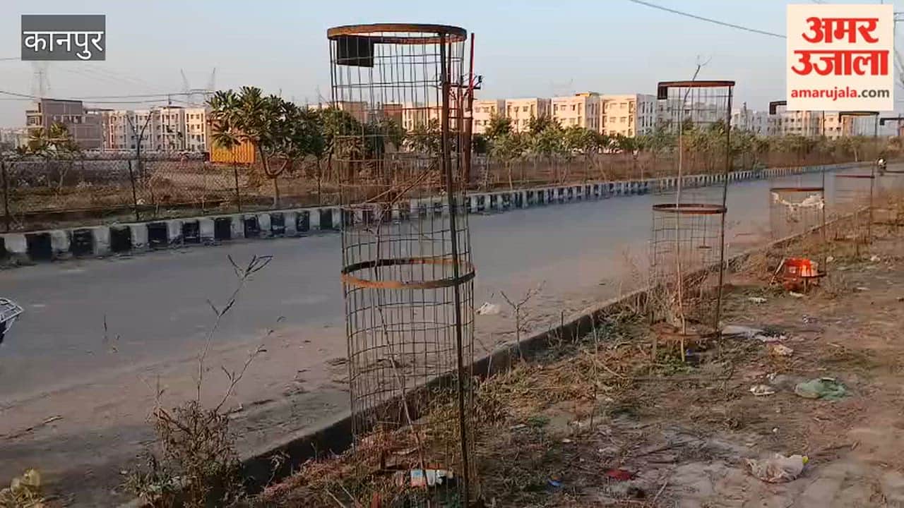 Thousands of saplings were planted in Shatabdi Nagar Green Belt, but now only bushes remai