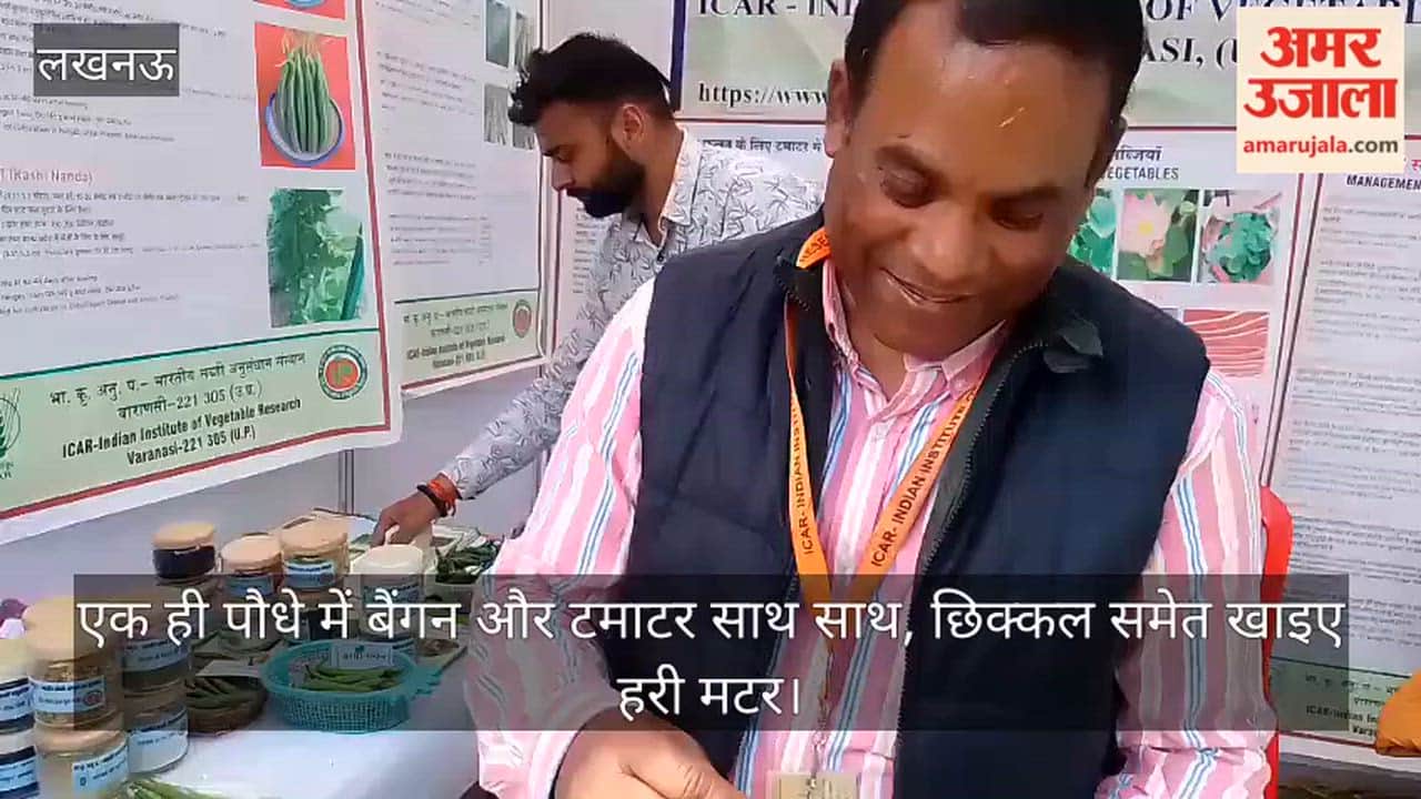 video: एक ही पौधे में बैंगन और टमाटर साथ साथ, छिक्कल समेत खाइए हरी मटर