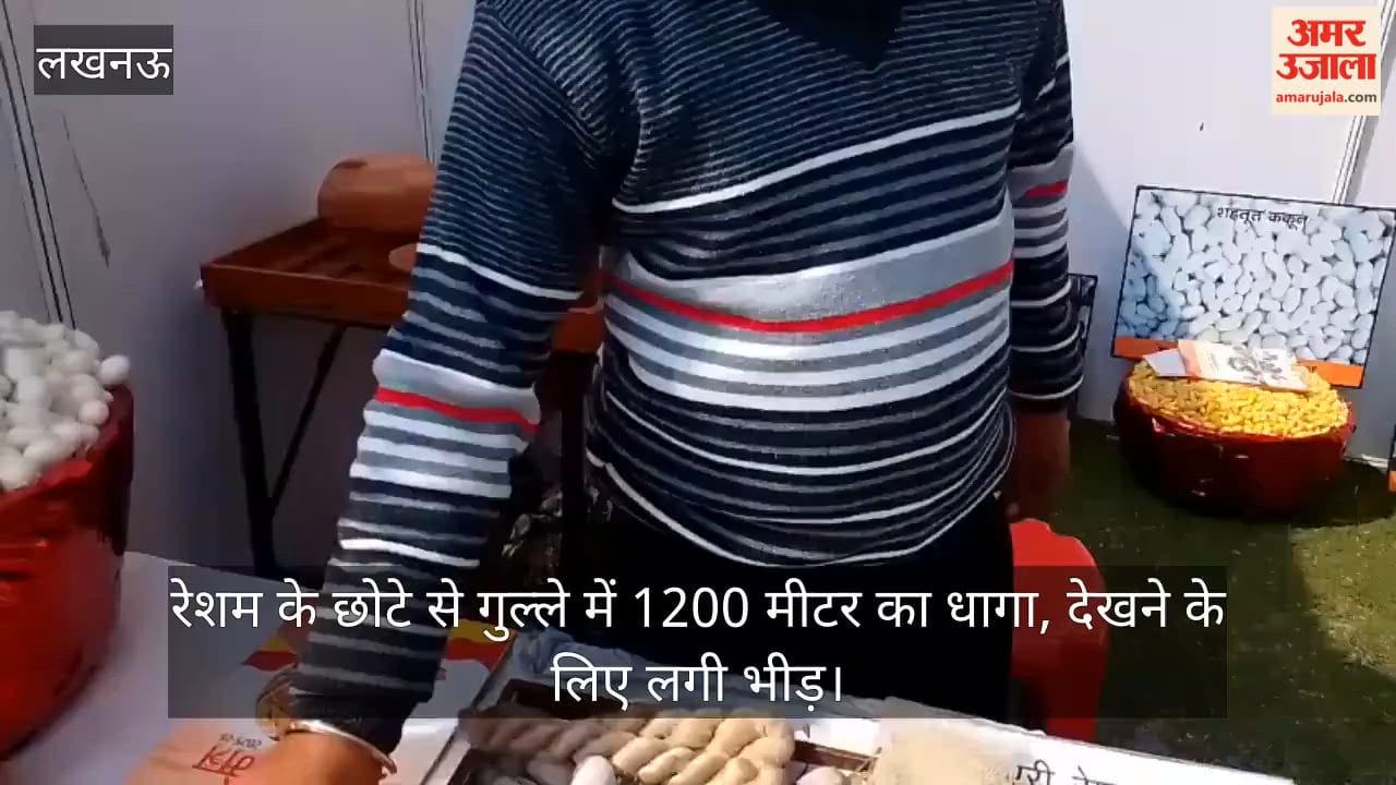 video: रेशम के छोटे से गुल्ले में 1200 मीटर का धागा, देखने के लिए लगी भीड़