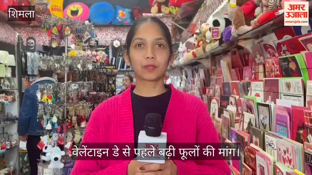 Demand for flowers increases ahead of Valentine's Day; preparations begin in Shimla markets. Watch the report.