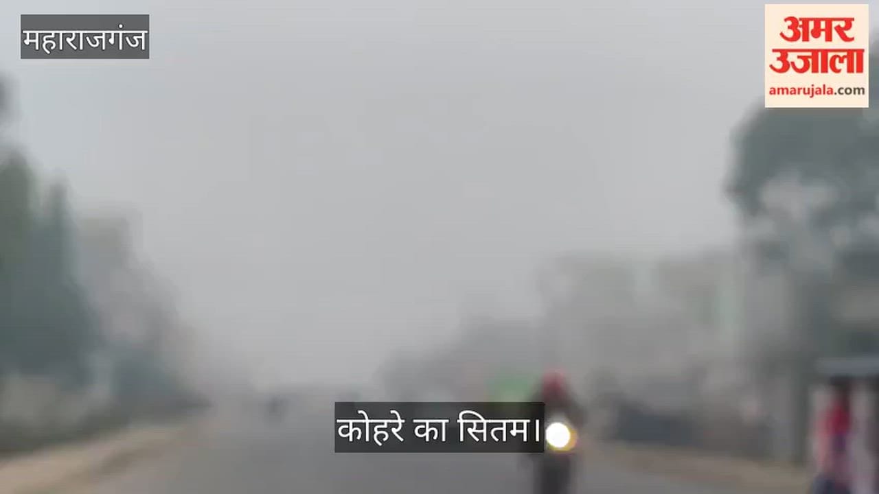 Fog covered the roads, causing problems for pedestrians