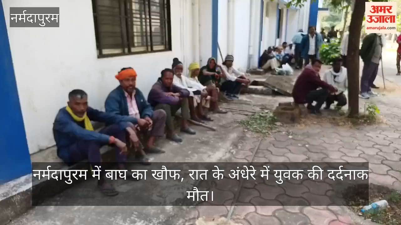 Tiger scare in Narmadapuram, young man dies tragically in the dark of night