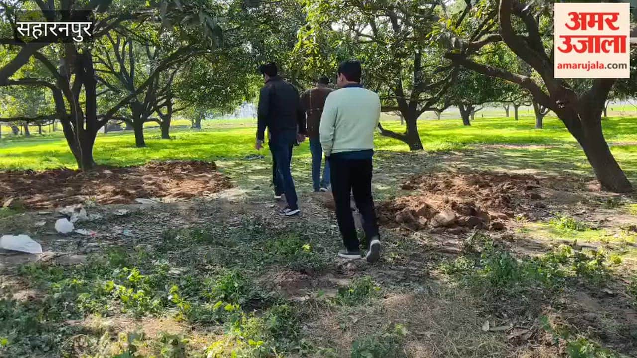 Saharanpur: Cattle Remains Found in Ismailpur Orchard, Traffic Disrupted on Saharanpur–Ambala Highway