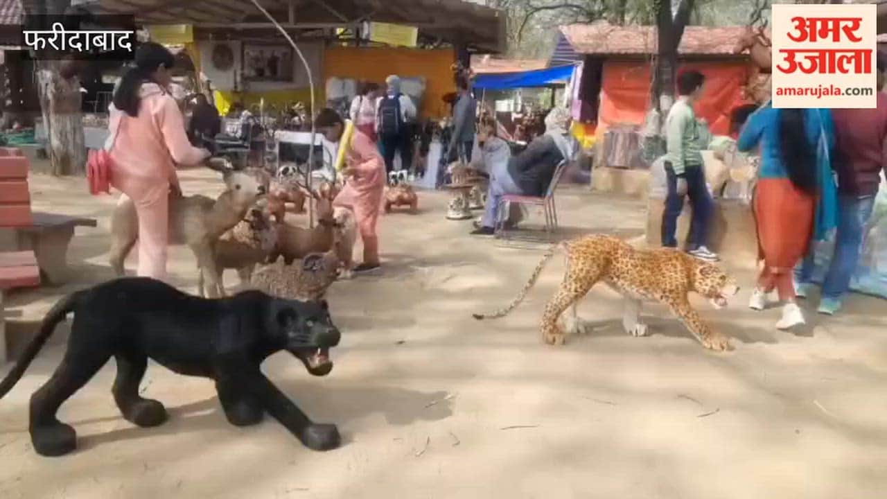thrill of The Jungle Book at the Surajkund Fair 2026