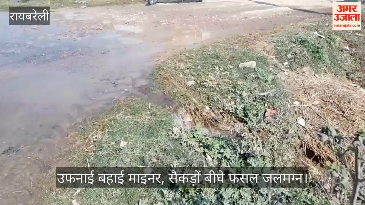 रायबरेली में उफनाई बहाई माइनर, सैकड़ों बीघे फसल जलमग्न