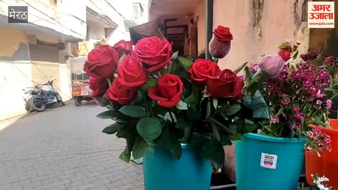 The markets are buzzing with activity for Valentine's Week, declarations of love were made on Rose Day, and colorful roses were a popular choice.