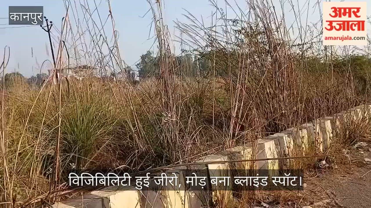 कानपुर: कपाली मोड़ पर ग्रीन बेल्ट बनी जंगल, मोड़ पर नहीं दिखते वाहन; हादसे के साये में राहगीर