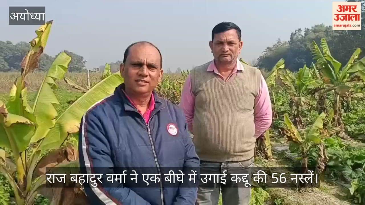 अयोध्या: जिले के किसान राज बहादुर वर्मा ने एक बीघे में उगाई कद्दू की 56 नस्लें, जानिए खासियत
