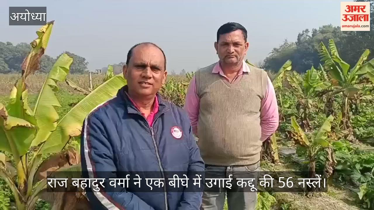 अयोध्या: जिले के किसान राज बहादुर वर्मा ने एक बीघे में उगाई कद्दू की 56 नस्लें, जानिए खासियत