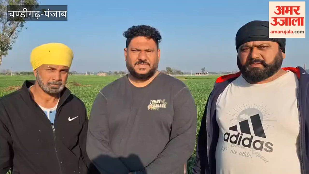 Electricity wires stolen from motors of three farms in Phagwara