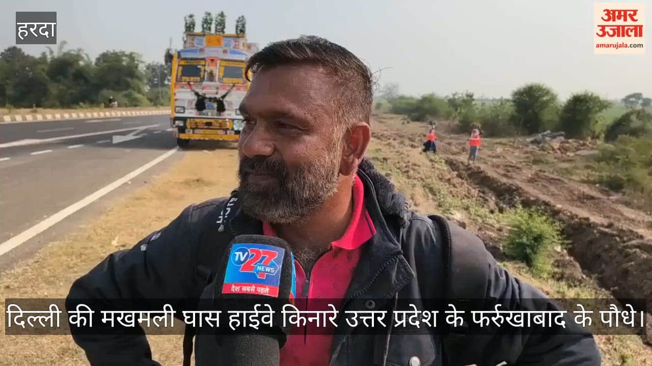 Velvet grass and tree plantation begins along highway work underway in 47 km area