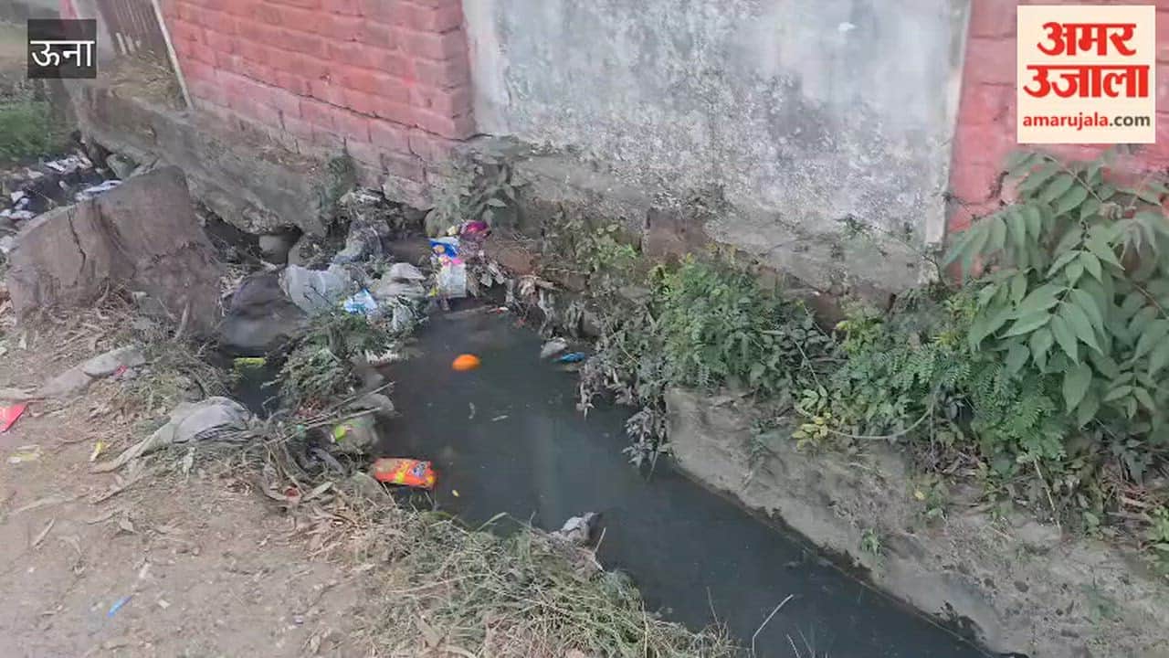 Una The residential colony of Himuda is in a deplorable state due to filth and garbage; residents are distressed