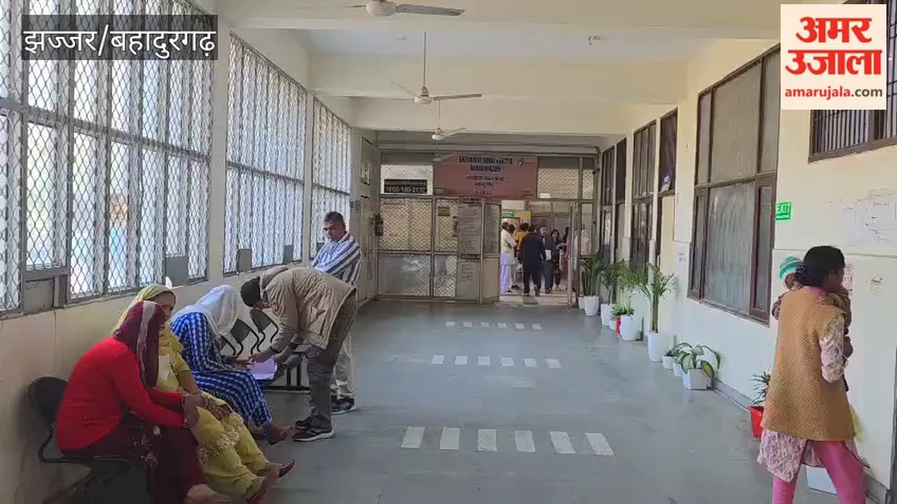 Tehsildars in Bahadurgarh go on strike; registration, land transfer, and certificate work comes to a halt.