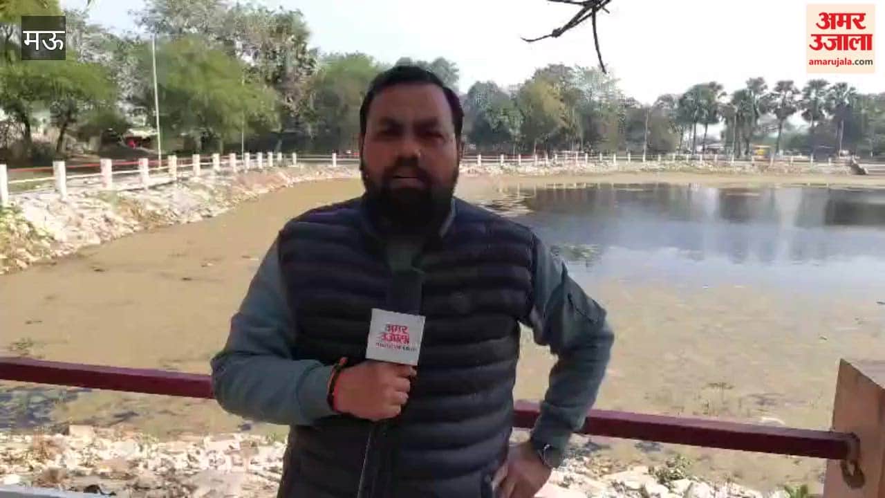 lake surrounding palace is filled with stagnant dirty water and covered in algae
