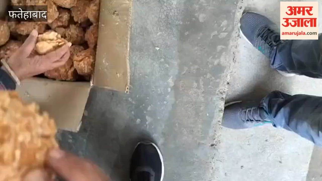 Children and school staff in Tohana, Fatehabad, are facing problems due to the supply of substandard rations for the mid-day meal.